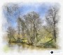 Near Bydews Wood